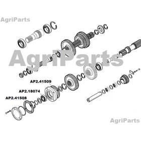 Bundakselleje - forreste